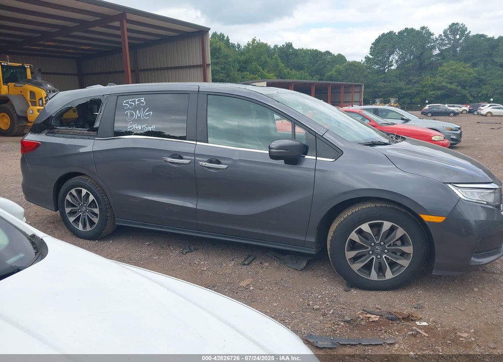 2024 HONDA ODYSSEY EX-L VIN: 5FNRL6H64RB049825