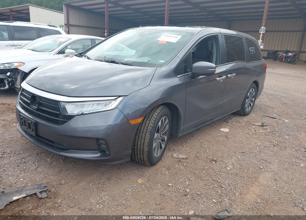 2024 HONDA ODYSSEY EX-L VIN: 5FNRL6H64RB049825