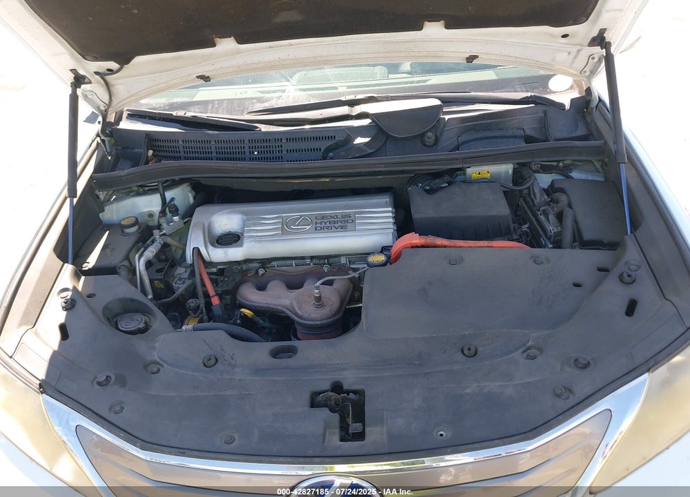 2010 LEXUS HS250H VIN: JTHBB1BA0A2028934