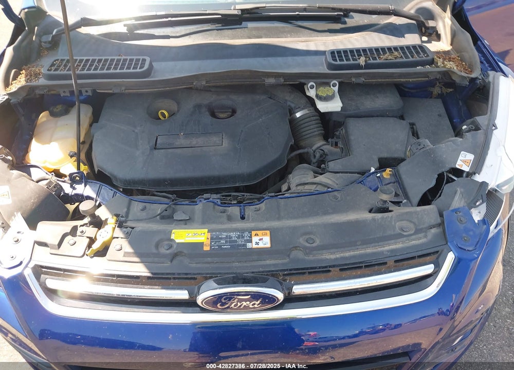 2014 FORD ESCAPE VIN: 1FMCU9J98EUD01162