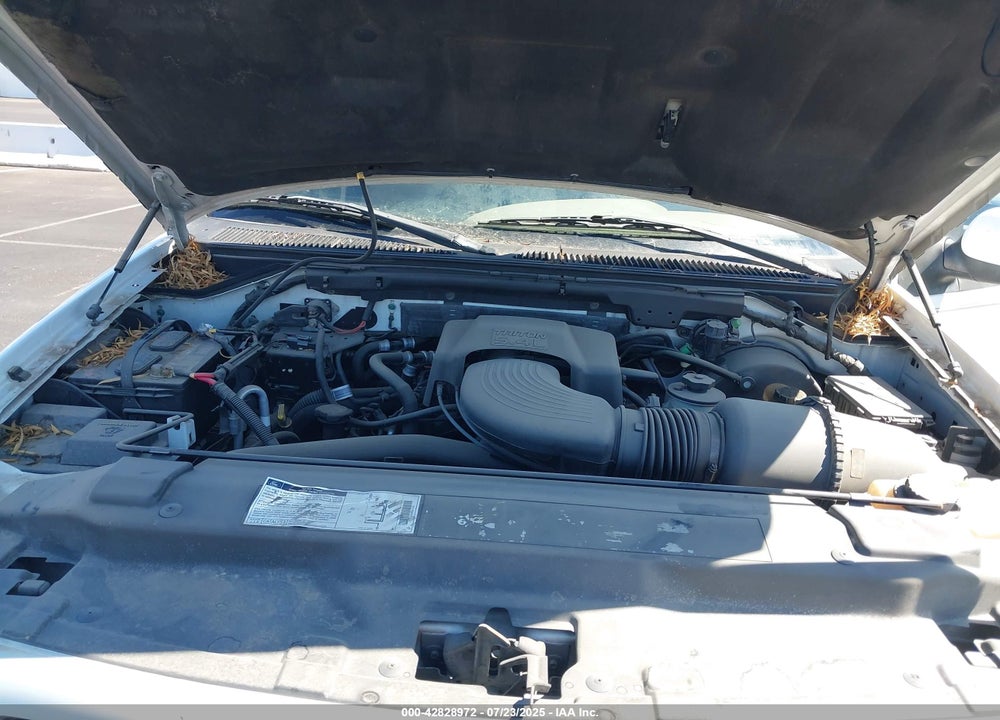 2002 FORD EXPEDITION VIN: 1FMPU18L22LA27043