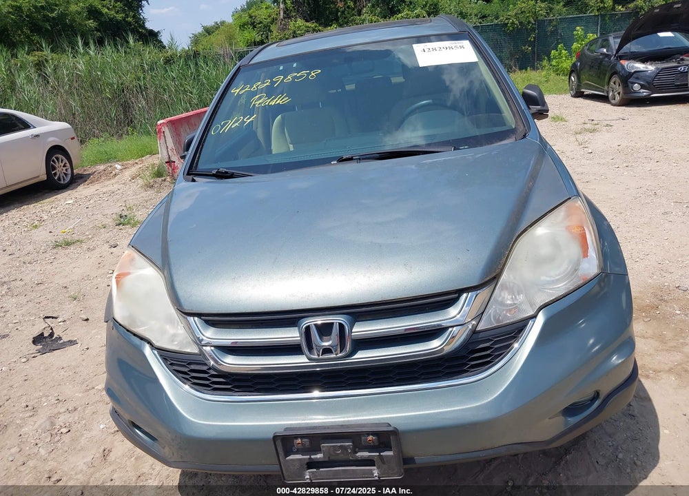2010 HONDA CR-V VIN: 5J6RE4H54AL010041