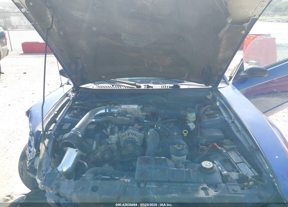 2004 FORD MUSTANG GT VIN: 1FAFP42XX4F206751