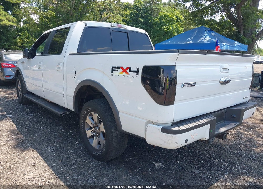 2011 FORD F-150 VIN: 1FTFW1EF7BFC60343