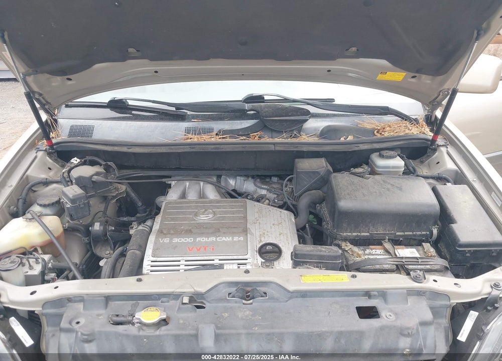 2003 LEXUS RX 300 VIN: JTJHF10U830308089