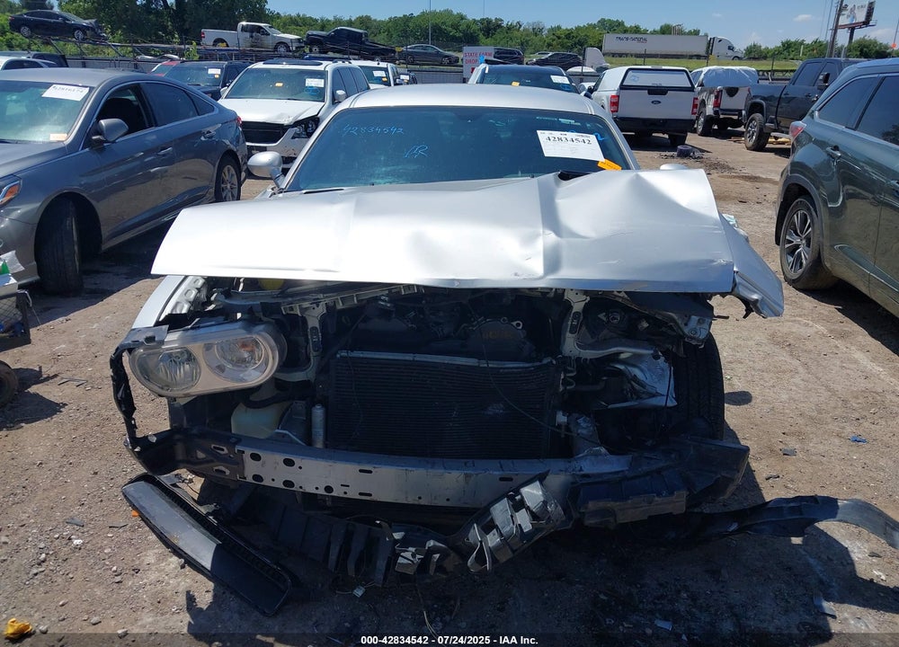 2010 DODGE CHALLENGER VIN: 2B3CJ4DV8AH219066