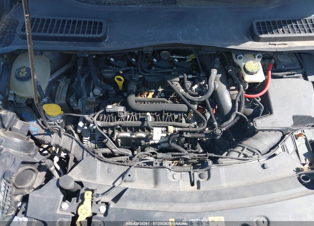 2019 FORD ESCAPE VIN: 1FMCU0GD1KUB11402