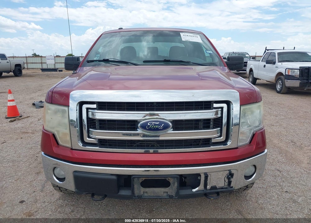 2013 FORD F-150 XLT VIN: 1FTFX1EF6DFB85974