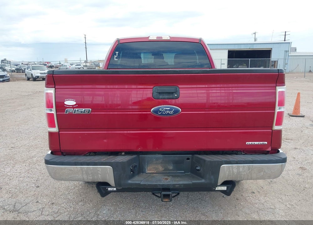 2013 FORD F-150 XLT VIN: 1FTFX1EF6DFB85974