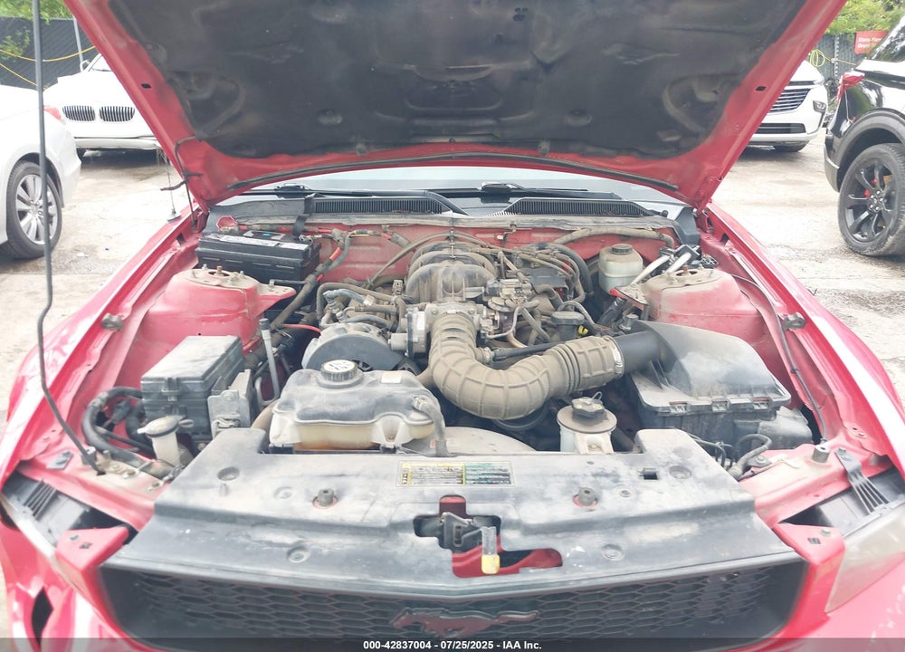 2005 FORD MUSTANG V6 DELUXE/V6 PREMIUM VIN: 1ZVFT80N355177998