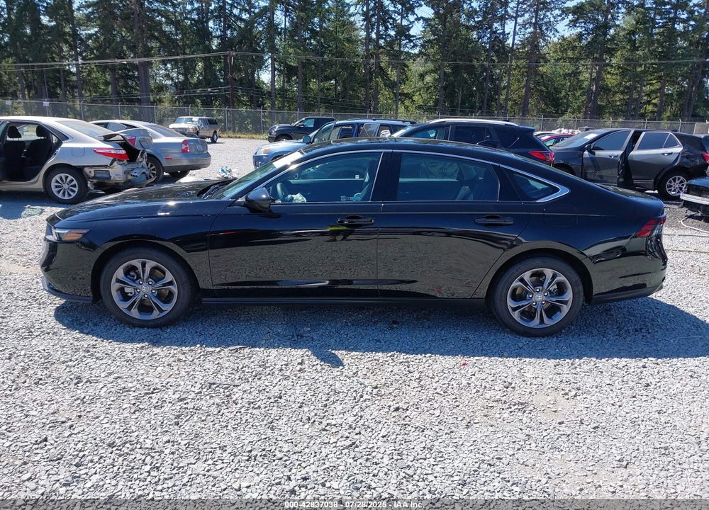 2024 HONDA ACCORD VIN: 1HGCY1F32RA032678