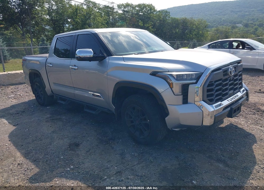 2025 TOYOTA TUNDRA CREWMAX PLATINUM/CREWMAX 1794 VIN: 5TFMA5DB3SX239141