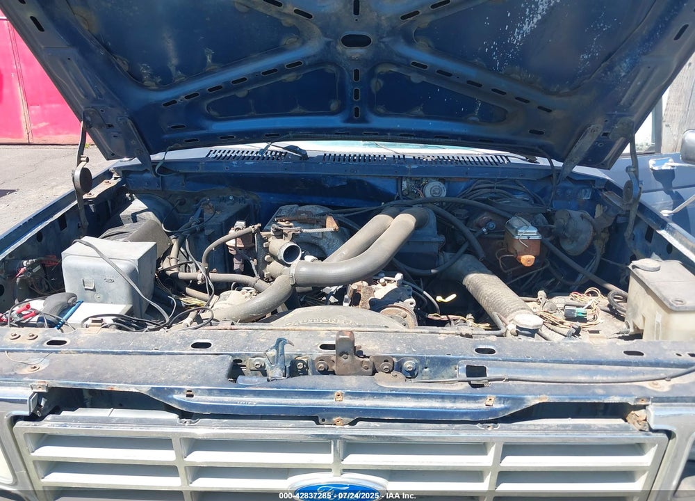 1986 FORD F150 VIN: 1FTEF14N2GPB12638
