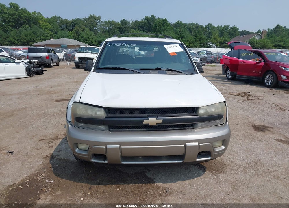2002 CHEVROLET TRAILBLAZER LTZ VIN: 1GNDT13S522196964