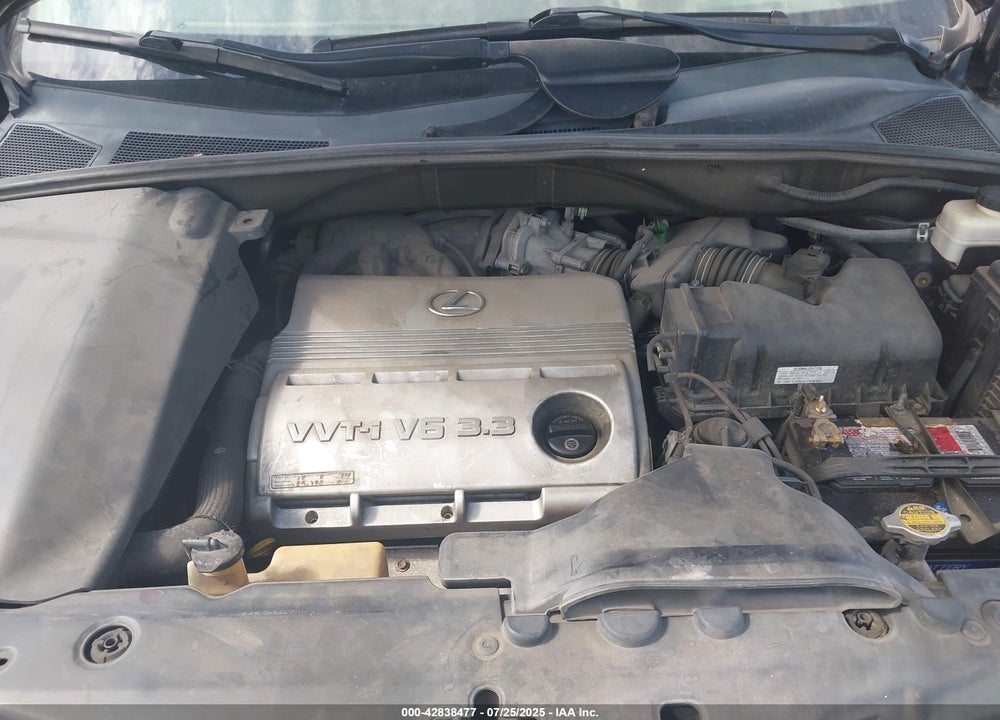 2006 LEXUS RX 330 VIN: 2T2GA31U36C047077