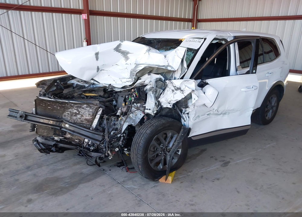 2023 KIA TELLURIDE VIN: 5XYP24GCXPG373132