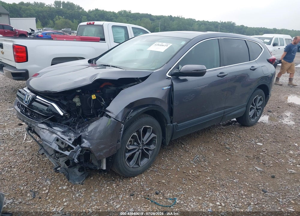 2022 HONDA CR-V VIN: 5J6RT6H84NL001244