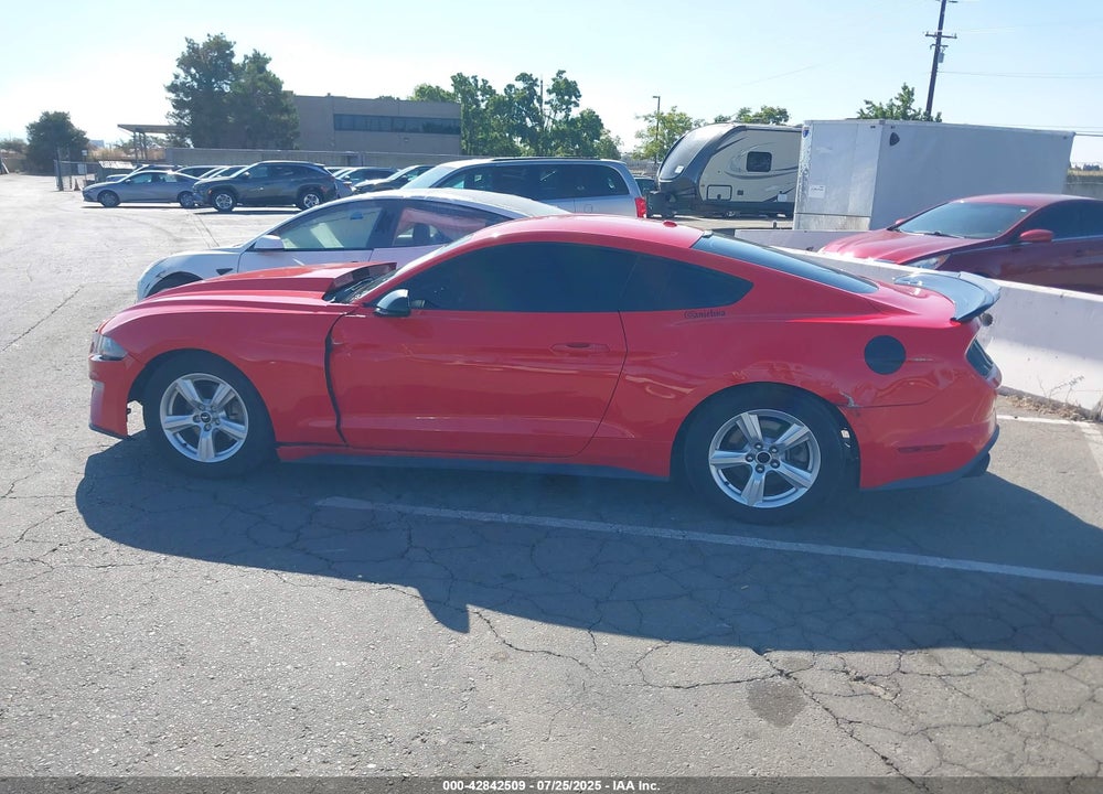 2019 FORD MUSTANG VIN: 1FA6P8TH7K5135493