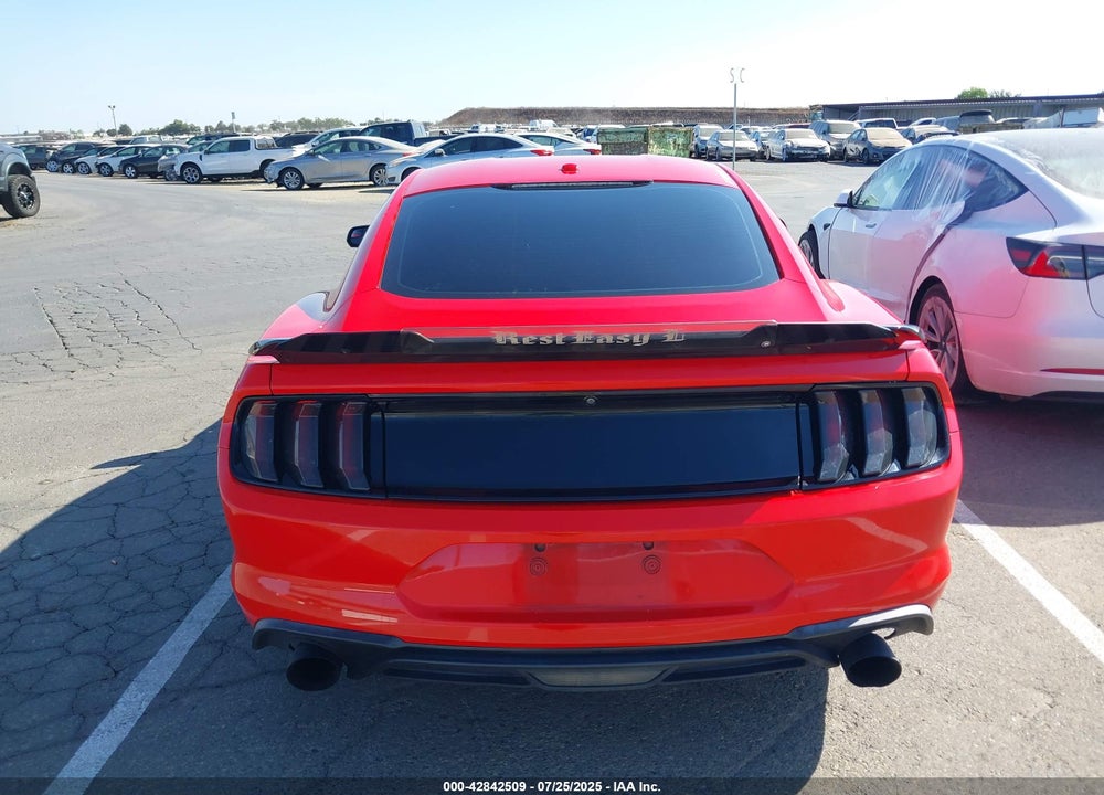 2019 FORD MUSTANG VIN: 1FA6P8TH7K5135493