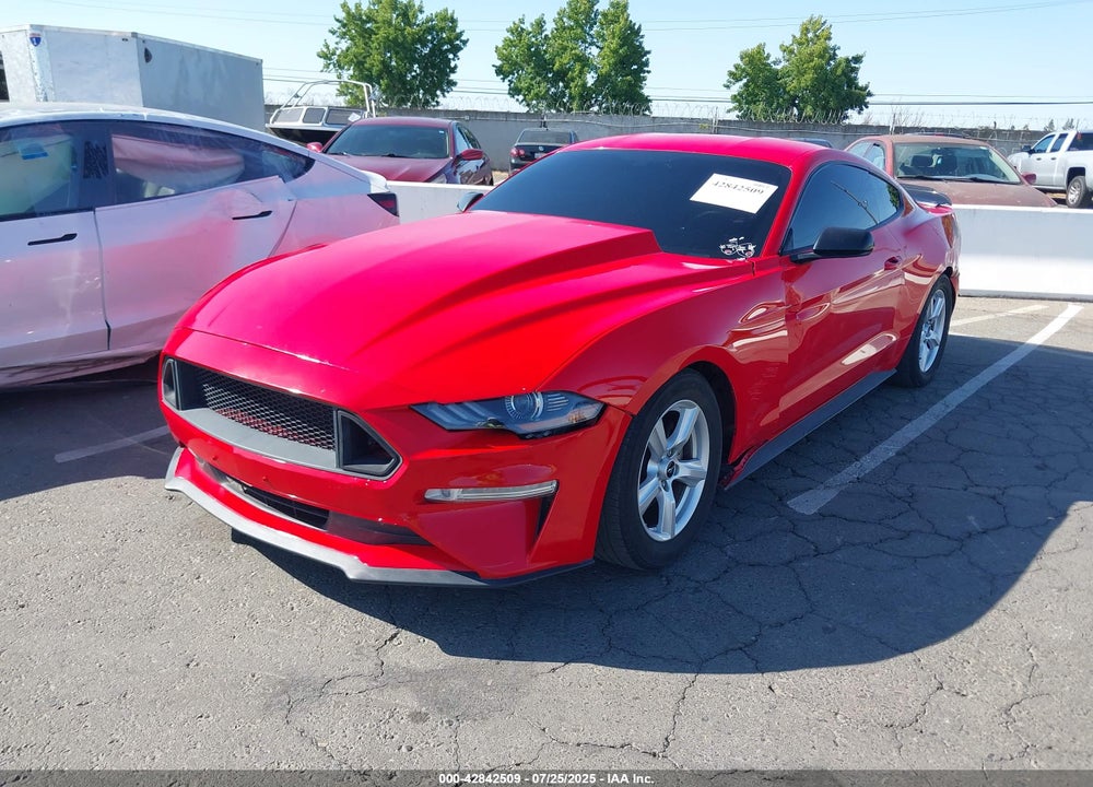 2019 FORD MUSTANG VIN: 1FA6P8TH7K5135493