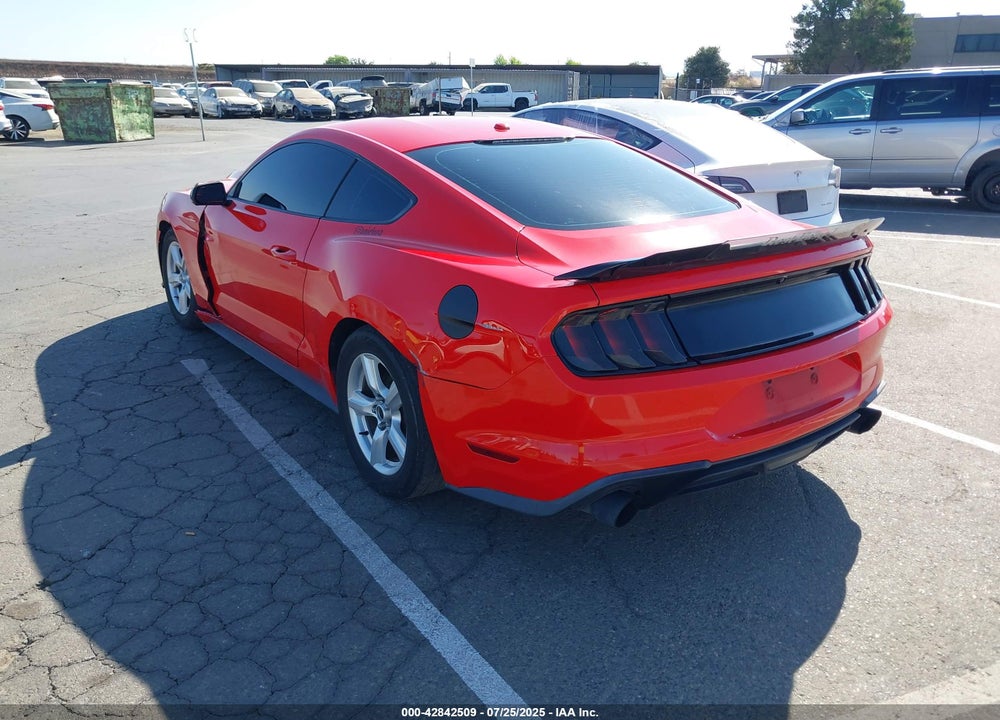 2019 FORD MUSTANG VIN: 1FA6P8TH7K5135493