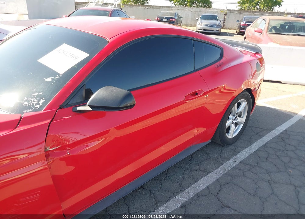 2019 FORD MUSTANG VIN: 1FA6P8TH7K5135493