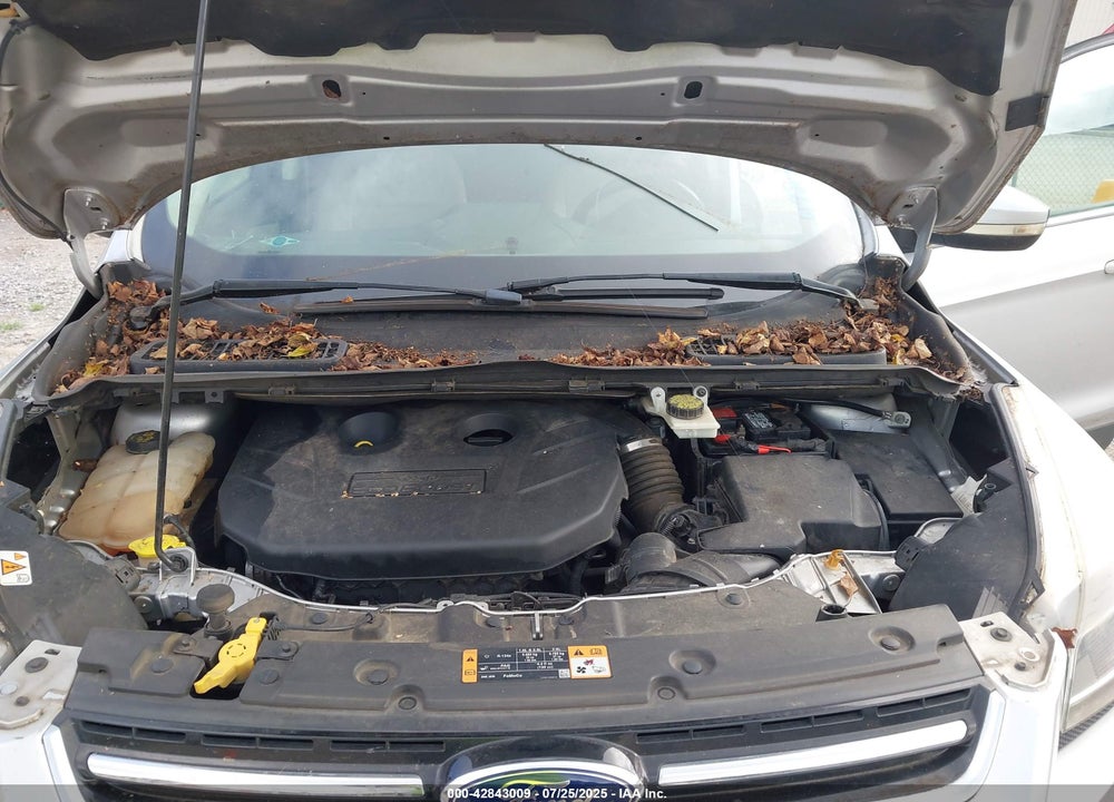 2014 FORD ESCAPE VIN: 1FMCU0J95EUA94600