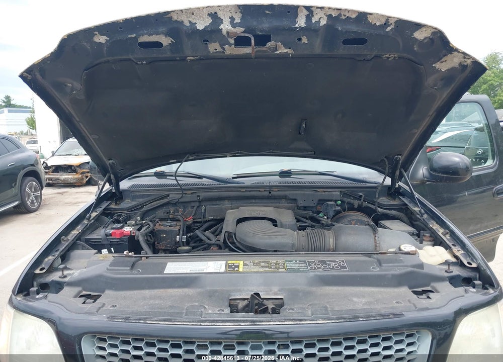 2003 FORD F-150 LARIAT/XL/XLT VIN: 1FTRX18L33NA44556
