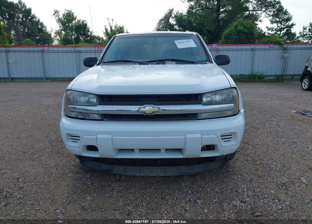 2008 CHEVROLET TRAILBLAZER FLEET VIN: 1GNDS13SX82203094