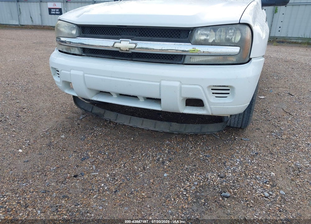 2008 CHEVROLET TRAILBLAZER FLEET VIN: 1GNDS13SX82203094