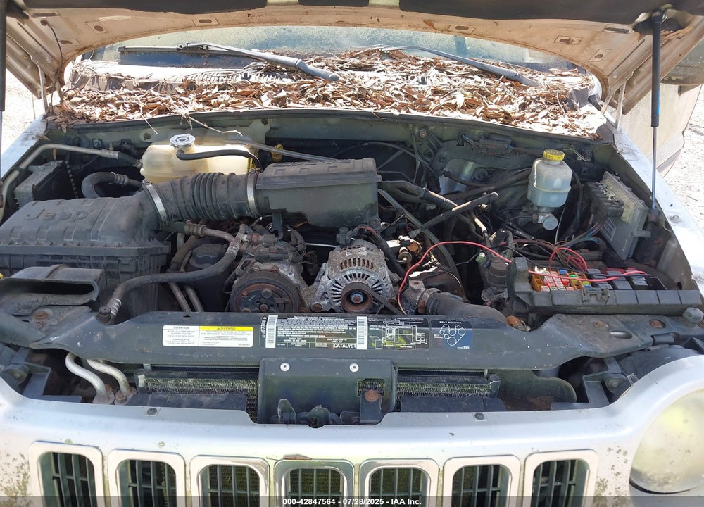 2003 JEEP LIBERTY VIN: 1J4GK48K33W575212
