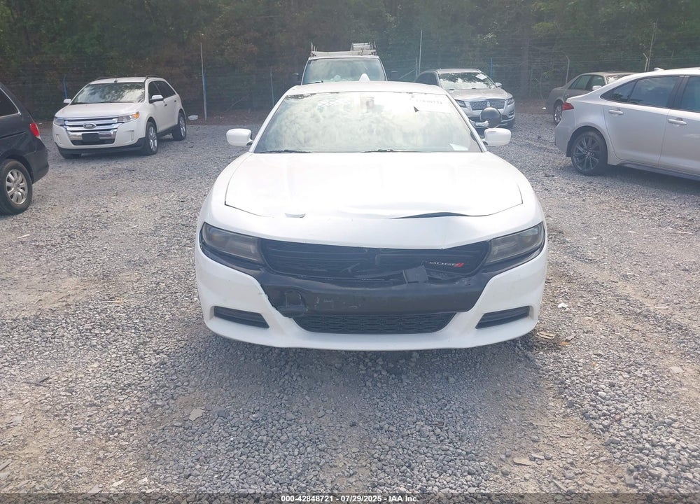 2019 DODGE CHARGER VIN: 2C3CDXKT3KH749704