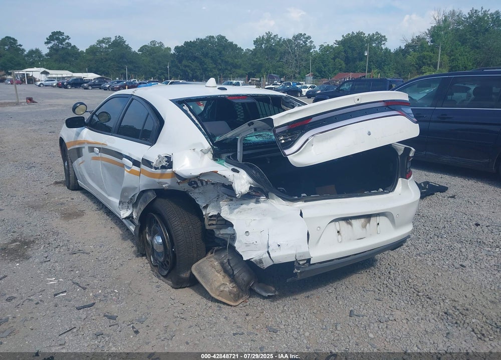 2019 DODGE CHARGER VIN: 2C3CDXKT3KH749704