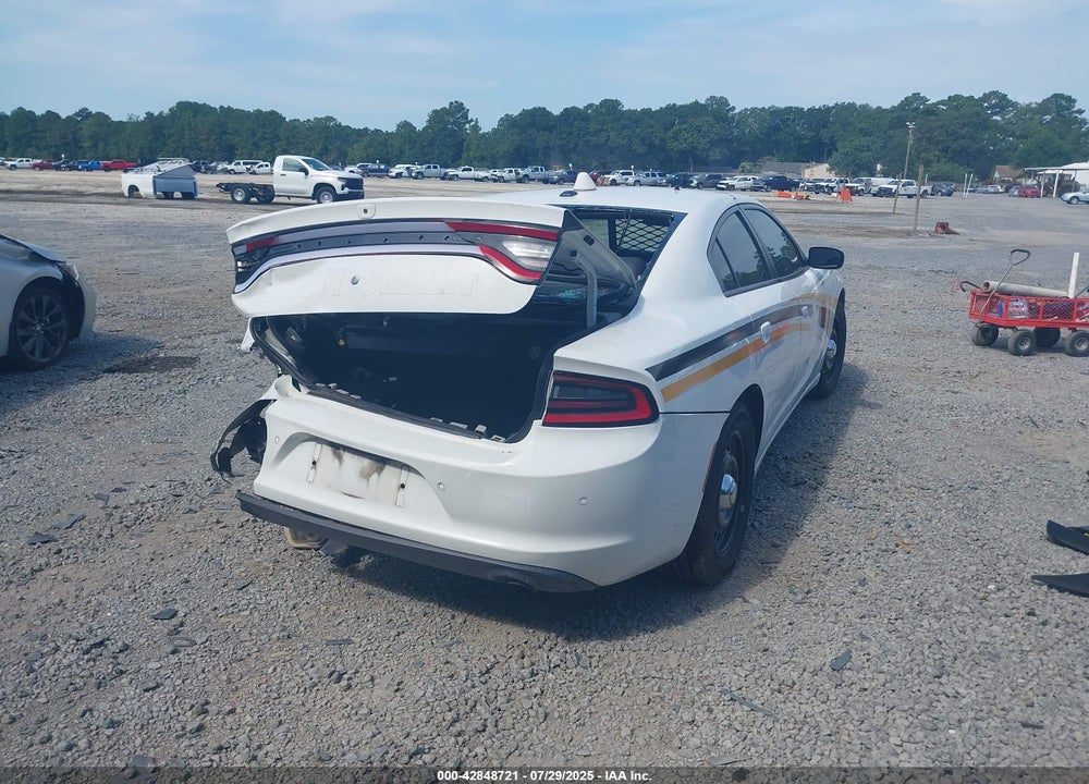 2019 DODGE CHARGER VIN: 2C3CDXKT3KH749704