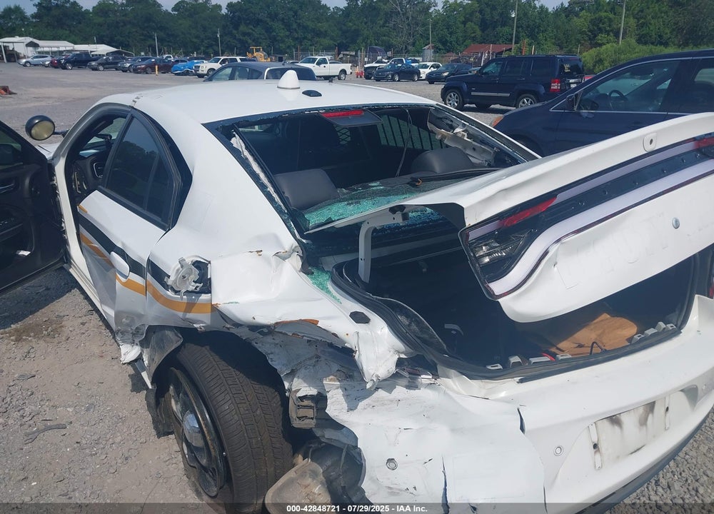 2019 DODGE CHARGER VIN: 2C3CDXKT3KH749704