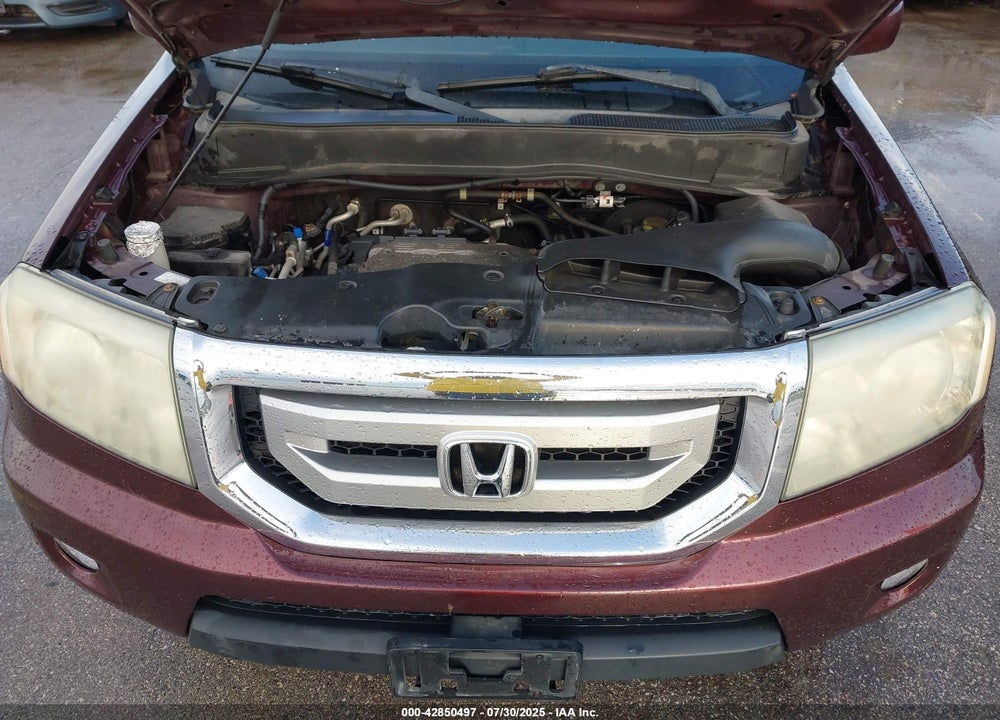 2009 HONDA PILOT VIN: 5FNYF38819B022195
