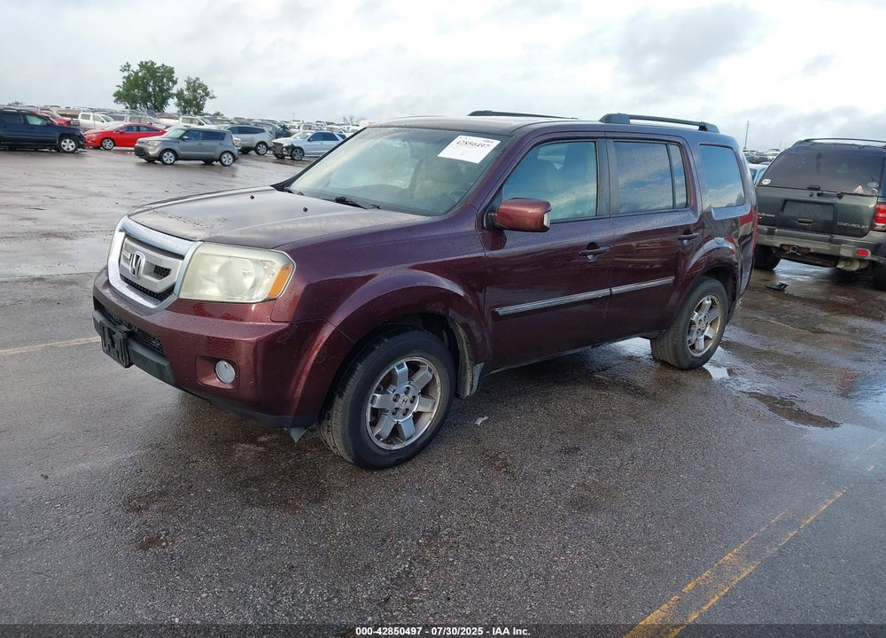 2009 HONDA PILOT VIN: 5FNYF38819B022195