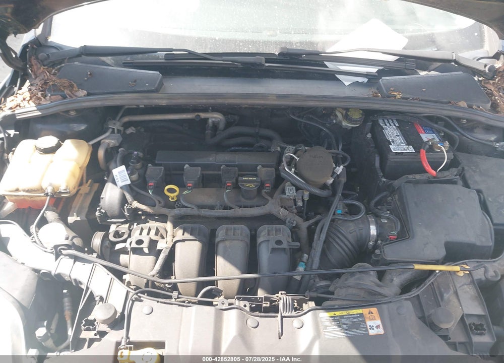 2013 FORD FOCUS VIN: 1FADP3K26DL254058