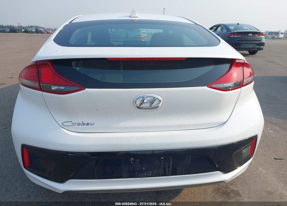 2019 HYUNDAI IONIQ HYBRID VIN: KMHC65LC9KU171190