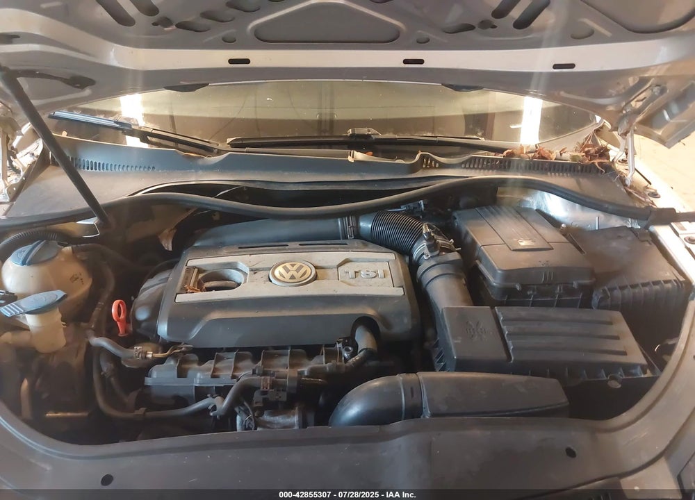 2009 VOLKSWAGEN EOS VIN: WVWBA71F09V021898