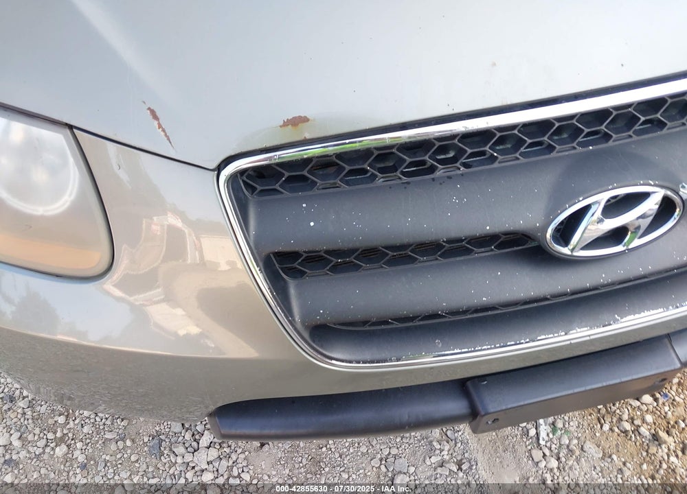 2007 HYUNDAI SANTA FE VIN: 5NMSH13E07H093501