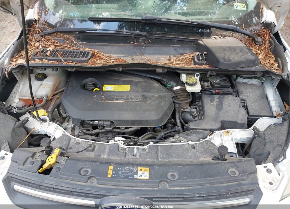 2013 FORD ESCAPE VIN: 1FMCU0GX8DUD49759