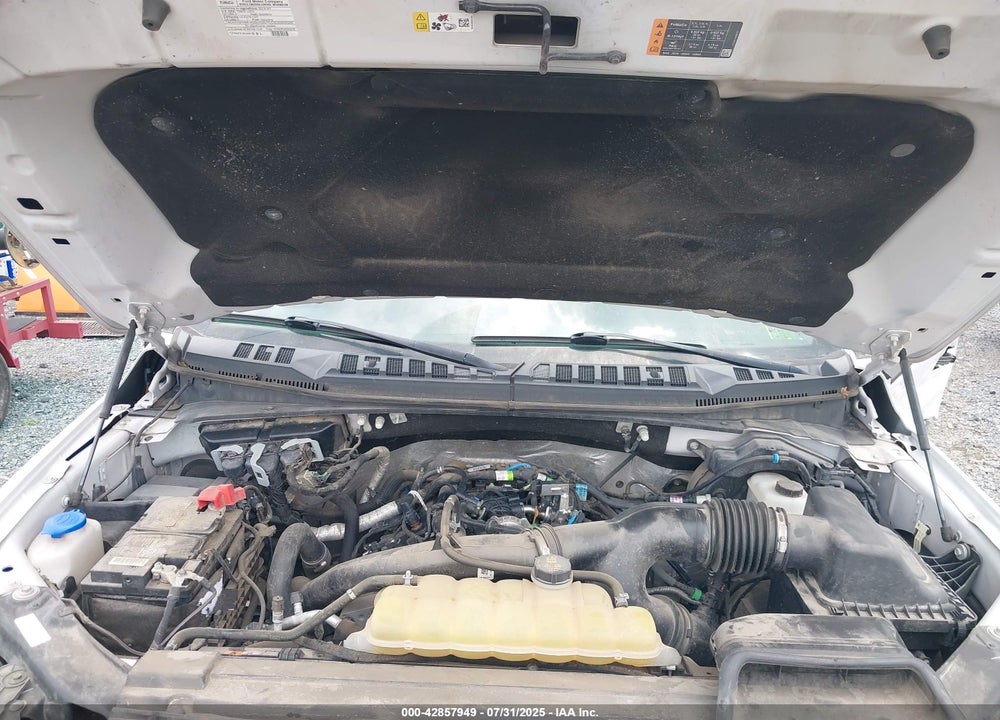 2019 FORD F-150 VIN: 1FTEW1EP8KFB61535