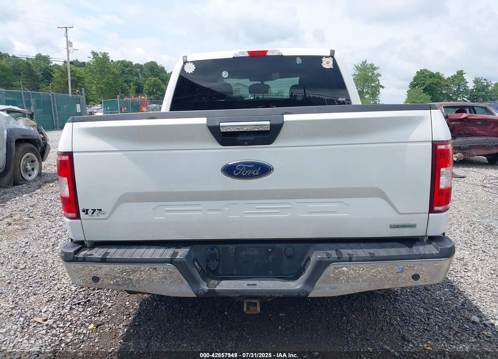 2019 FORD F-150 VIN: 1FTEW1EP8KFB61535