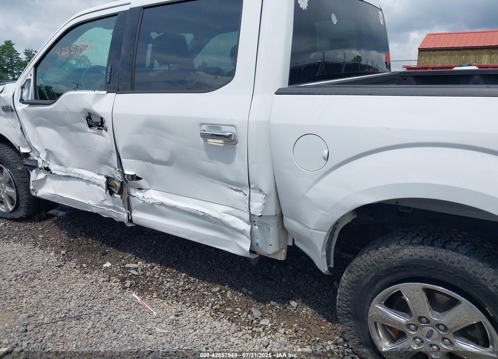 2019 FORD F-150 VIN: 1FTEW1EP8KFB61535