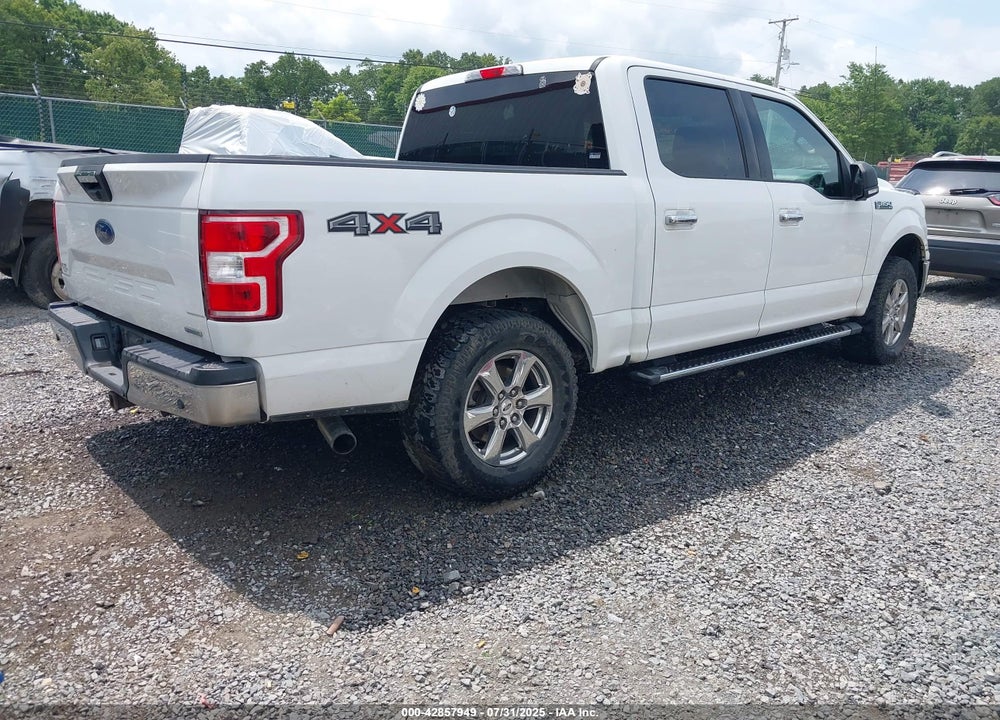 2019 FORD F-150 VIN: 1FTEW1EP8KFB61535