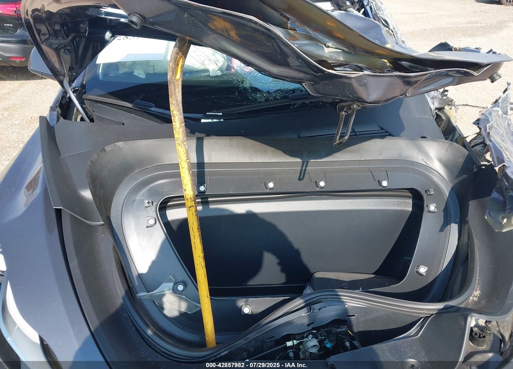 2023 TESLA MODEL Y VIN: 7SAYGDEE1PF648603