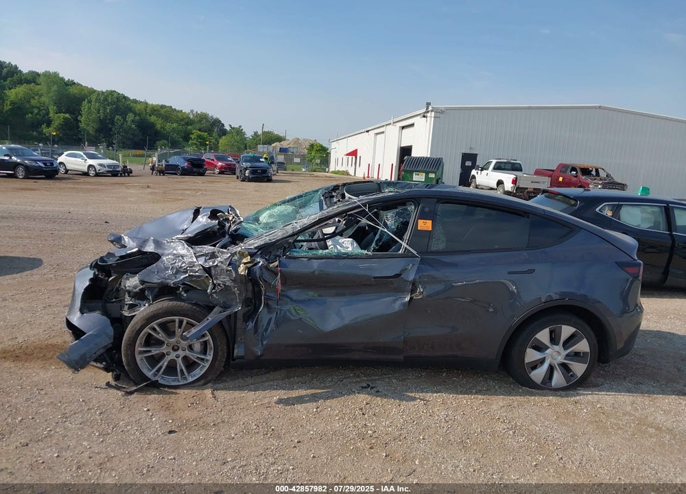 2023 TESLA MODEL Y VIN: 7SAYGDEE1PF648603