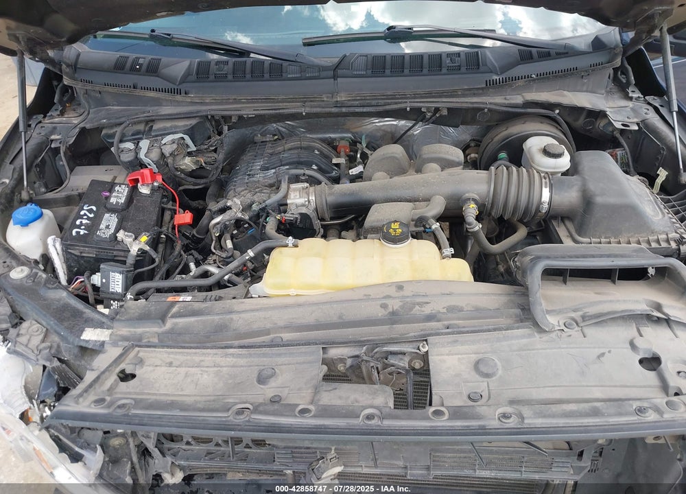 2019 FORD F-150 VIN: 1FTEW1CB0KKE14135