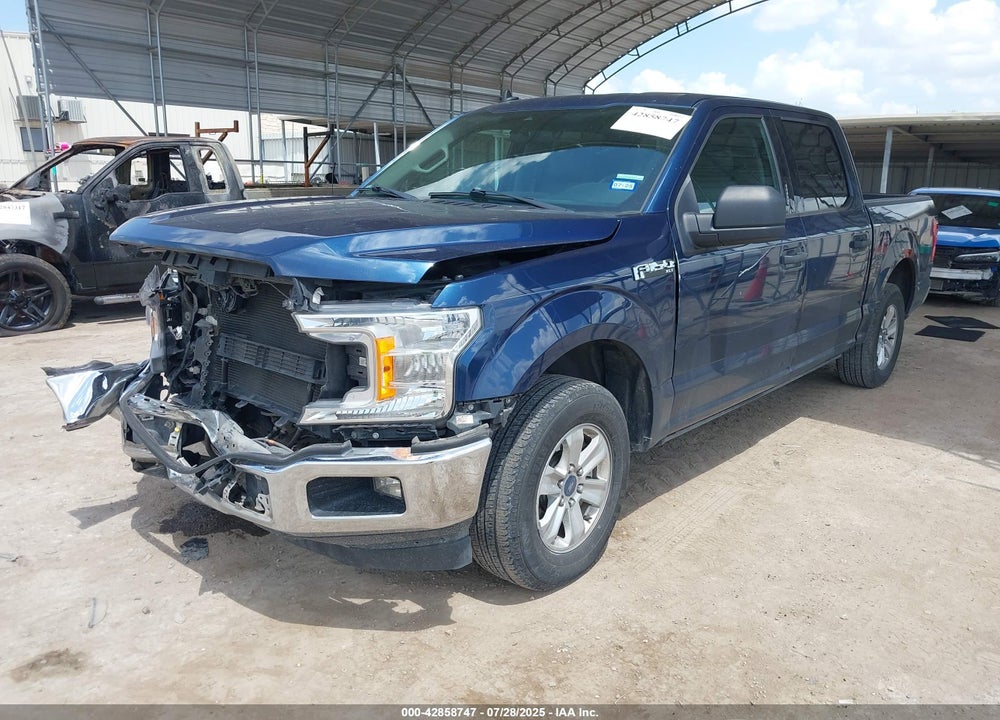 2019 FORD F-150 VIN: 1FTEW1CB0KKE14135
